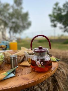 Camping villa lake shkodra - 0