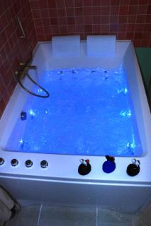 Jacuzzi et Vue sur Loire - Maison d'hôtes L'Odyssée - 8