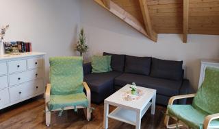 Gemütliche Ferienwohnung im schönen Erzgebirge - Wohnung Frühling - Eibenstock - 9