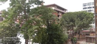Frael - Palermo - 2