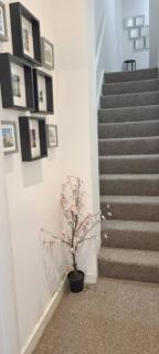 Entire 2 Bed Flat on 3rd floor near City Centre & Stadium - Cardiff - 3