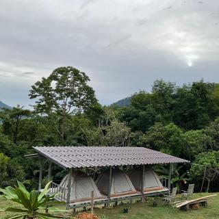 Khao Sok Hill Top Resort - Khao Sok - 4
