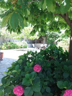 Θαλλώ Luxurious Villa - Tsagarada - 8