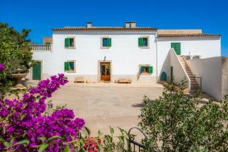 Na Amera Ref 225 - Campos - 9