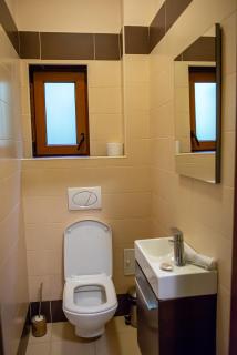 Pilvax Apartment nr 3 - Brasov - 7