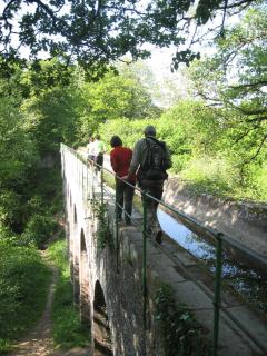 Nort sur erdre centre - Nort-sur-Erdre - 5