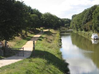 Nort sur erdre centre - Nort-sur-Erdre - 3