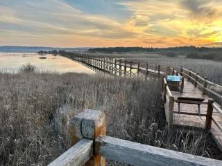 Sea and Sun Pakoštane - 2