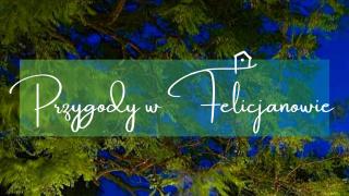 Gniazdo w Felicjanowie - 8