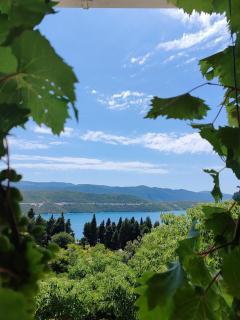 Apartments Lucerna - Neum - 5