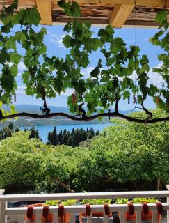 Apartments Lucerna - Neum - 2
