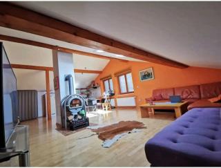 Morning sunshine - 2