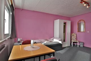 Monteurwohnung Steinsfeld Suhl - Suhl - 6