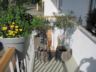 #1Gemütliches ruhiges sonniges Balkonzimmer mit Gemeinschaftsbad W-Lan Airport nah Late Night Check in Haus Nr 9,5 - Trunkelsberg - 0