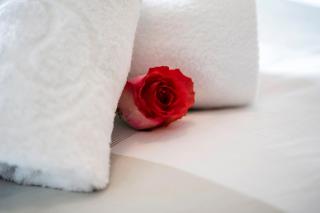 Appartement Hornblick by NV-Appartements - 3