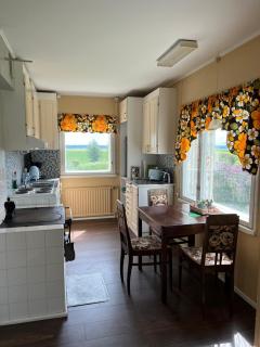 Beautiful Big Farm House with Spectacular Meteor Site View - Vaasa - 5