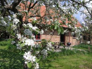 Ferienhaus Apfelhof - Tressow - 9