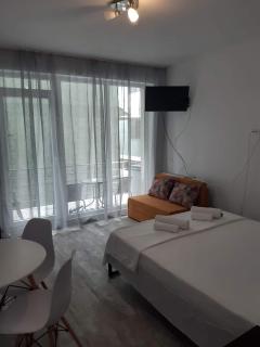 Tudor studio Mamaia Sat - Mamaia Nord – Năvodari - 4