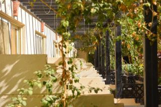 Florenza Khamsin - Hurghada - 1