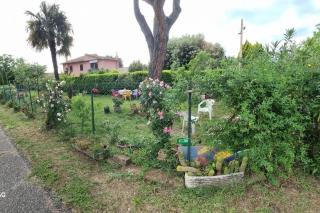 Casa Rosata - Magliano Sabina - 3