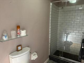 Greyton Toad Hall exclusive use up to 18 and by supplement up to 22 with massive pool and hot tub and sometimes we rent individual rooms - Greyton - 7