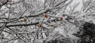 Casa Neneo Bariloche 2 - 8