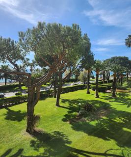 CCI - Cannes Midi Front de Mer - LEC - - Cannes - 9