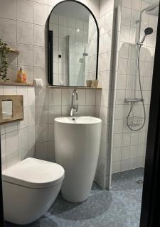 Vrijstaande luxe vakantiewoning met Jacuzzi, grote tuin, veel privacy en prachtige natuur - 3