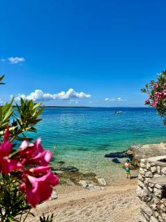 Sea view Mandre - Mandre - 5