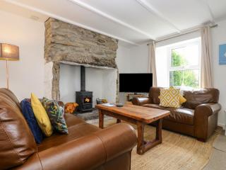 Blue Reef Cottage - Lower Boscaswell - 5