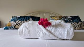 Appartement Tropical Garden - Bouillante - 0