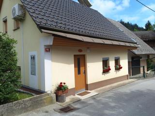 Apartma Pr Martin - Begunje na Gorenjskem - 9
