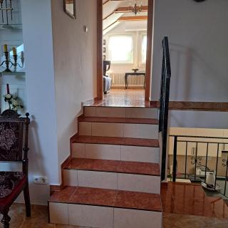 Tavirózsa - 1