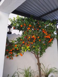 La Covacha - unique town house with exclusive pool and garden in the heart of the Village - Canillas de Aceituno - 4
