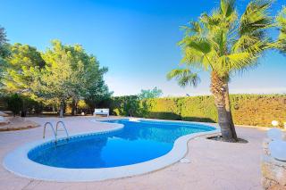 VILLA OASIS IBIZA - 5