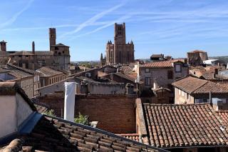 Loft atelier hyper centre Albi - Albi - 9