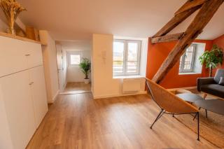 Loft atelier hyper centre Albi - Albi - 6