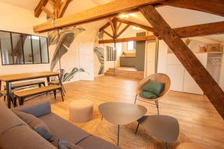 Loft atelier hyper centre Albi - Albi - 3