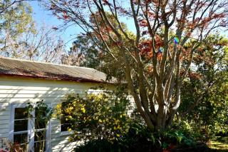 River Lea Cottage - Healesville - 4