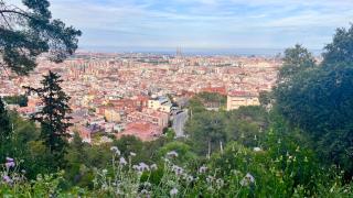 Perfect place for nature lovers - Barcelone - 4