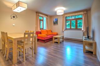 Apartmány Barto21 - Bartošovice v Orlických Horách - 7