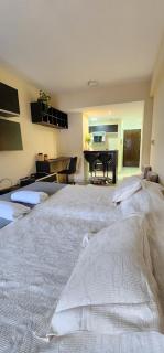 Aires Brillantes, monoambiente céntrico - 5