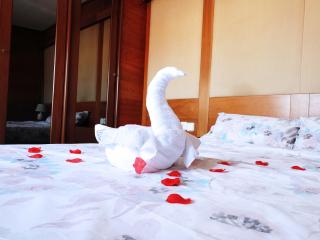 Angosta Host - Málaga - 2