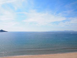 MIRAMAR 31B - Roses - 1