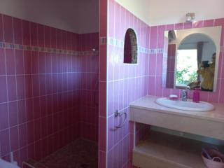 PIANICCIA-villa standing- pieds dans l'eau-piscine privée - Sari Solenzara - 6