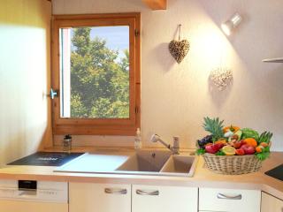 Chalet nordique 31 - La Féclaz - 4