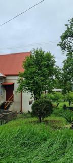 Hooni_guesthouse - Odzun - 5