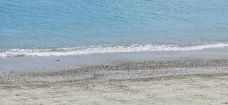 VISTA MARE SAVONA - Savona - 4