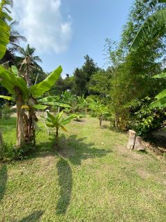 Finca Montecristo - 7
