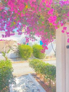 Peaceful Cottage House - Private Garden - Análipsis - 9